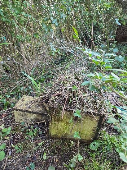 hedgehog house