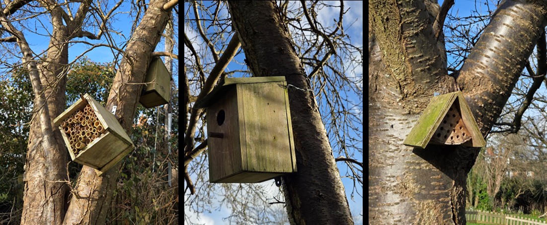 bird boxes