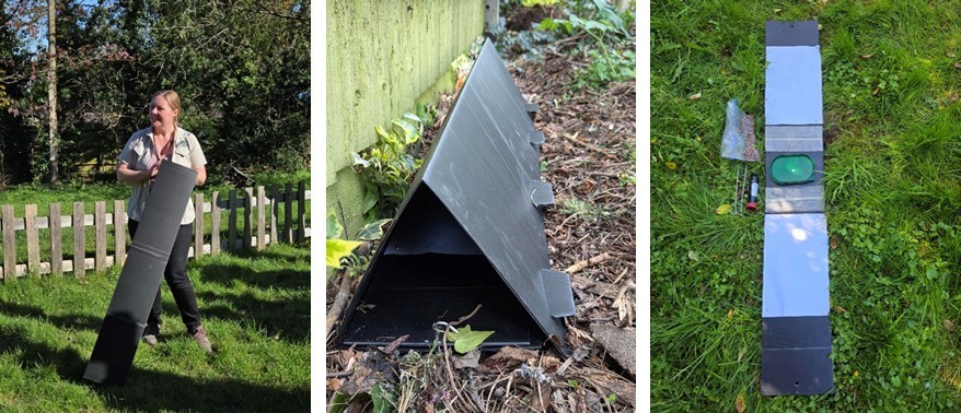 using hedgehog tunnels