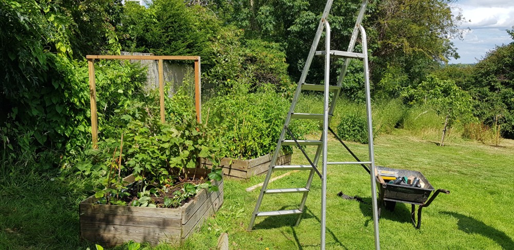 raised beds