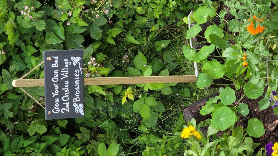 sign for the brownie garden